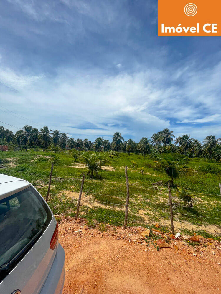 Terreno à venda, 10000m² - Foto 4