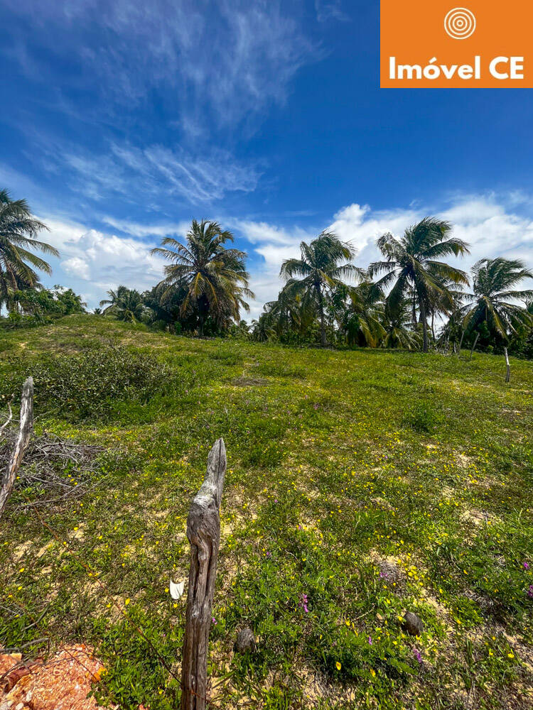 Terreno à venda, 10000m² - Foto 2