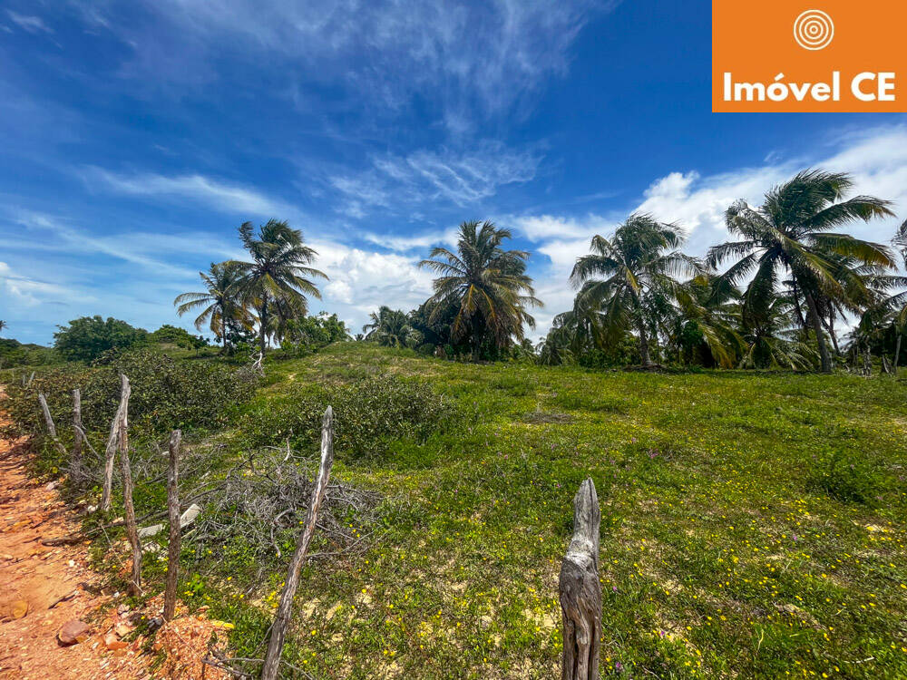 Terreno à venda, 10000m² - Foto 3