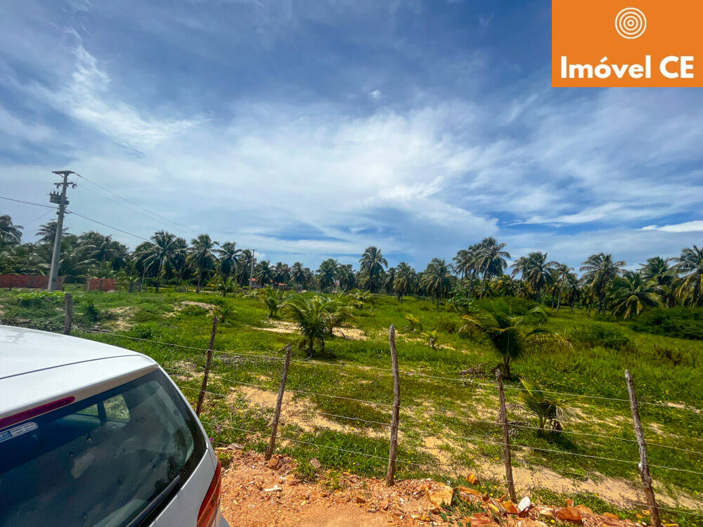 Terreno à venda, 10000m² - Foto 5