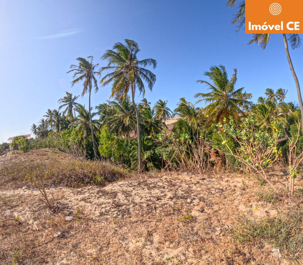 Terreno à venda, 14000m² - Foto 7