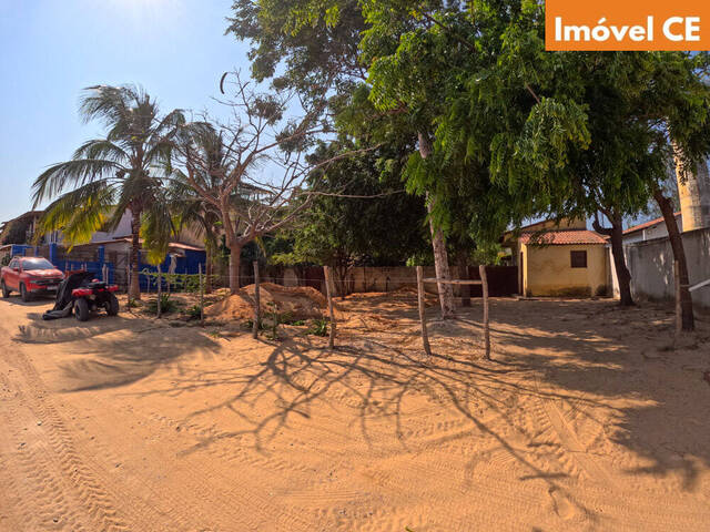 #175 - Área para Venda em Jijoca de Jericoacoara - CE - 1