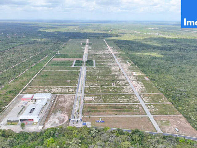 #199 - Área para Venda em Jijoca de Jericoacoara - CE - 1