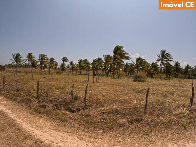 #211 - Área para Venda em Itarema - CE - 2